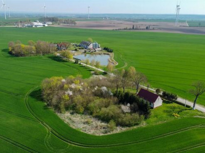 Działka budowlana Bruk gm. Dzierzgoń