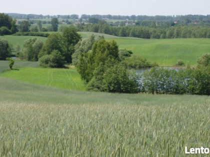 piękna działka rolno budowlana Zbójno Łukaszewo