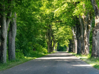 Piękna działka nad jeziorem