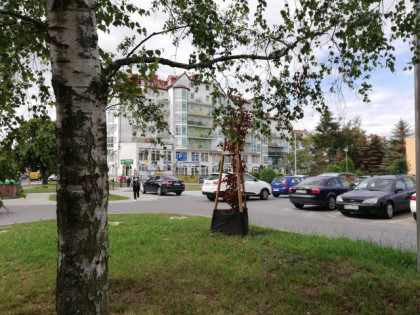 Mieszkanie 3 pokojowe