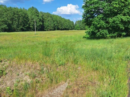 Działka Tanowo,plan-usługi,3233m2,łączna-1.74 ha.