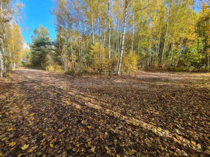 Działka 1500 m2, Osieck, Sobieńki