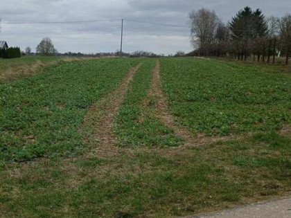 Piękna, zadbana, działka budowlana w okazyjnej cenie.