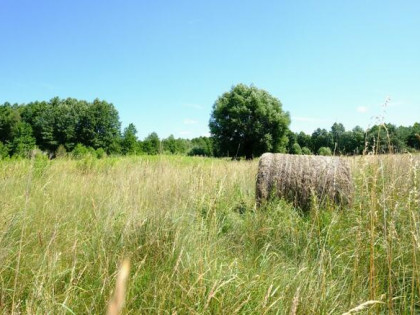 Działka rolna Kampinos,