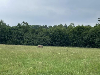 Działka budowlana z widokiem na góry