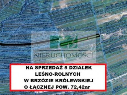 DO SPRZEDAŻY DZIAŁKI LEŚNO-ROLNE BRZÓZA KROLEWSKA