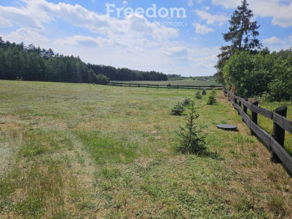 Relaks w naturze. Piękna działka w Kącikach