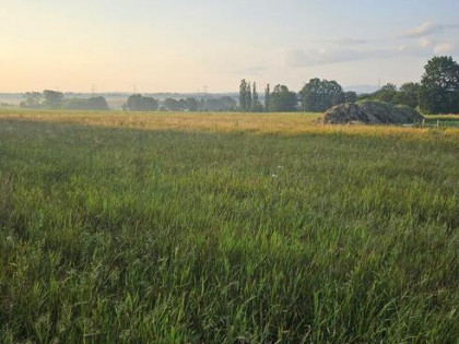 Działka budowlana w Ksawerowie koło Zawidowa