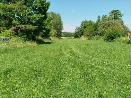 Sprzedam działkę budowlaną Baczki koło Łochowa