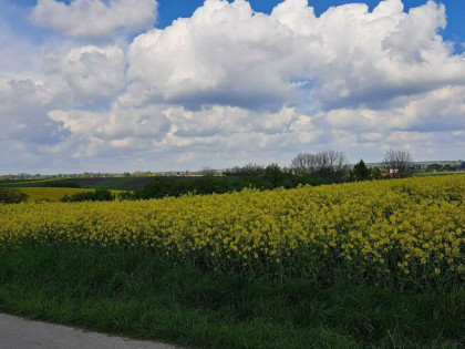 Działka budowlana Przybysławice gm. Skała