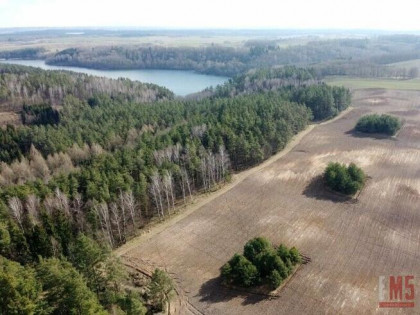 Działka rolna Nowe Krzywe