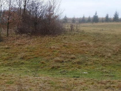 Działka budowlana Bębło gm. Wielka Wieś Wielka Wieś