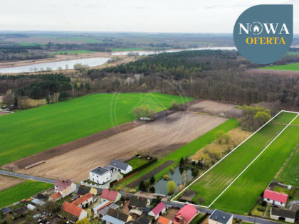 Działka rolna Zgliniec gm. Krzywiń,