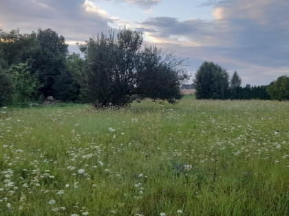 Starościce - działka budowlana