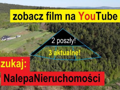 działki budowlane pod lasem blisko Kielc k. Daleszyc