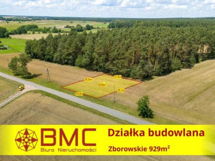 Działka budowlana Zborowskie gm. Ciasna, Dolna