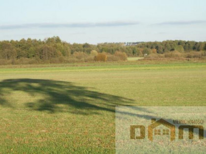 Działka budowlana Obielewo gm. Łabiszyn