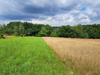 Działka rolna Świńczów gm. Skała