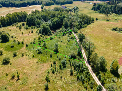 Działka budowlana, Księżno, las i sielski klimat