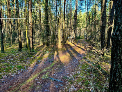 Działka Józefów ul.  