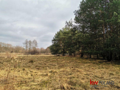 Działka budowlana Czeszów gm. Zawonia,