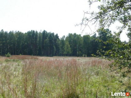 Gwoździce - działka budowlana o pow. 10,36 ar.