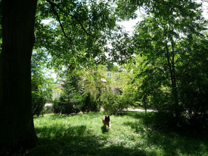 dwór dworek park Popowo Kościelne gm.Mieścisko Wielkopolska