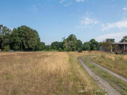 Działka budowlana Strzebiń gm. Koszęcin, Boczna