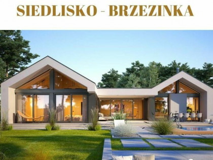 SIEDLISKO - BRZEZINKA