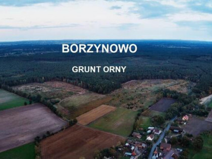 Działka rolna Borzynowo gm. Milicz,