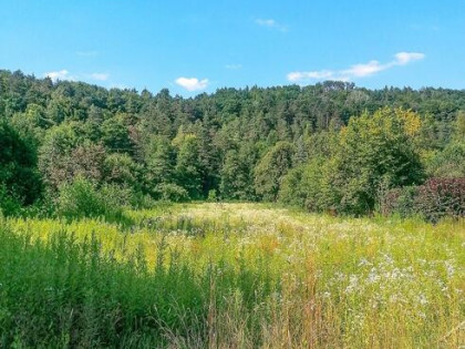 Działka rolna Bochotnica, Nałęczowska