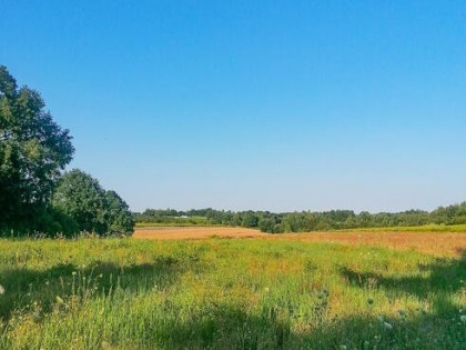 Działka rolna Kazimierz Dolny Góry