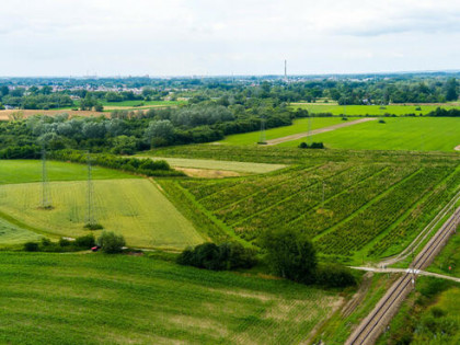 Działka inwestycyjna - wysoki  i szybki zysk