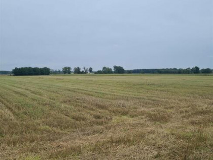 Działka budowlana Szubin-Wieś gm. Szubin