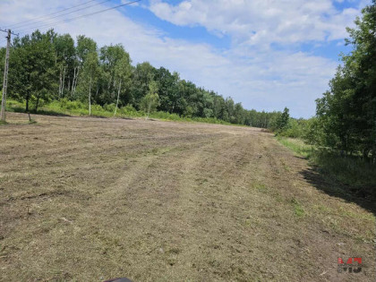 Działka budowlana Adampol gm. Jadów, Józefa Kostrzewy