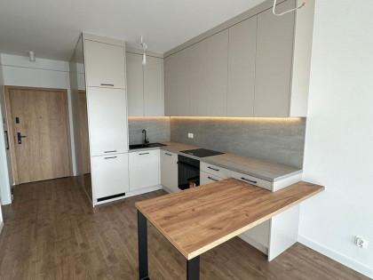 Katowice Śródmieście. Apartament 2 pokoje do wynajęcia