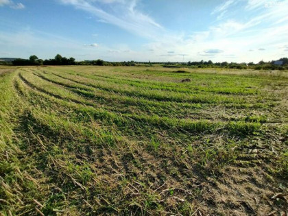 Działka budowlana Rejowiec Fabryczny