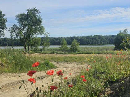 Atrakcyjna działka nad jeziorem z plażą