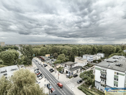 Poznań, Grunwald Mieszkanie na wynajem