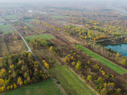 Działka w otoczeniu zieleni Rudna Mała