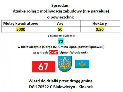 Pilnie sprzedam 0,50 ha działkę rolną w Białowieżynie