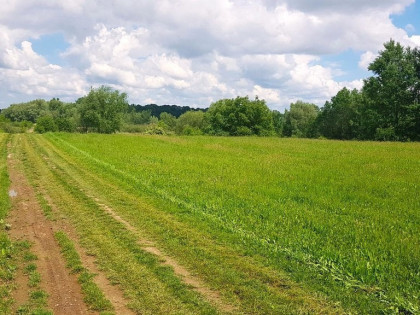 Działka budowlana o pow. 11,3 ar Rzeszów