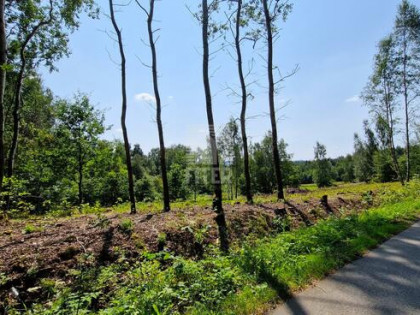 Działka budowlana Lipnica Dolna gm. Lipnica Murowana