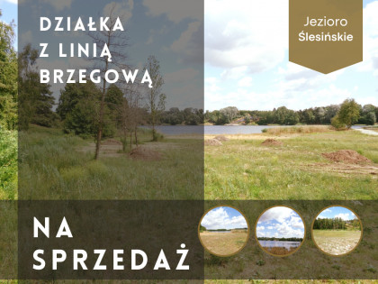 Działka z linią brzegową - Jezioro Ślesińskie