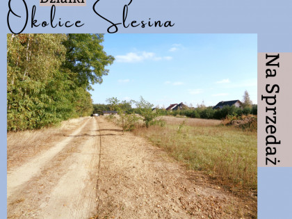 Okolice Ślesina – Działki Budowlane