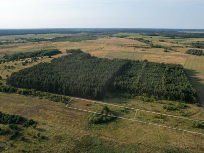 Działka Wąwelnica gm. Dobra (Szczecińska)