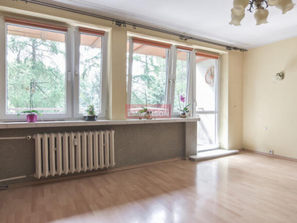 duży balkon prosto na park + piwnica 10m2