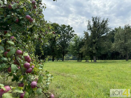 Działka budowlana Buchcice