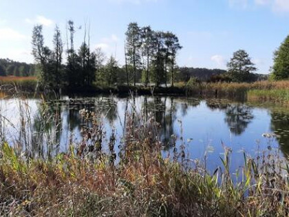 urokliwe siedlisko - działki od 3000m2 do 25,6 ha