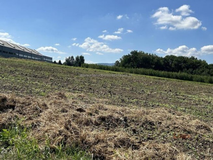 Działka rolno-budowlana Klecza Dolna gm. Wadowice